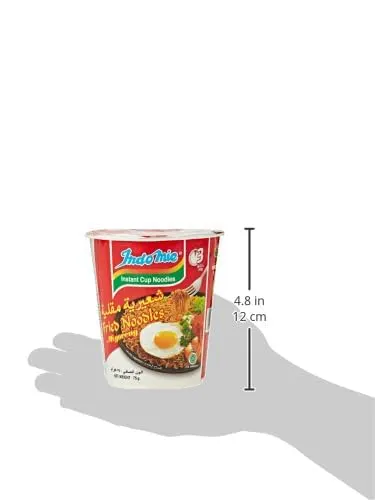 indomie mi goreng noodles 5