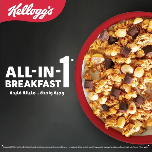kelloggs chocolate hazelnut 5