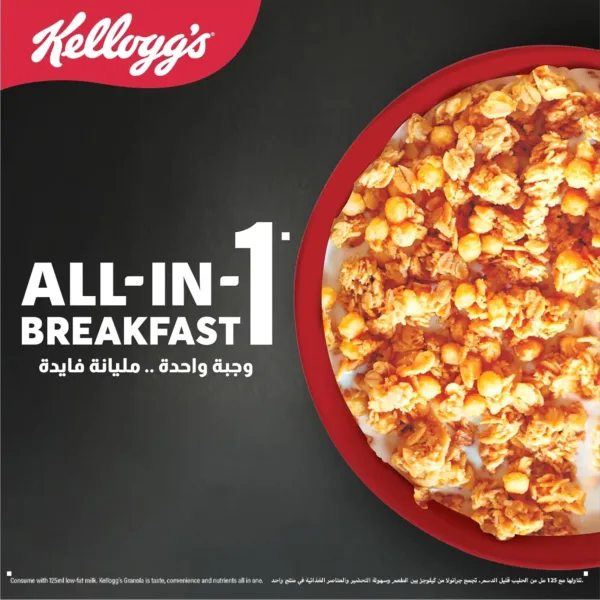 kelloggs granola classic 6