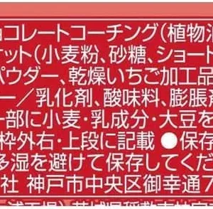 kitkat mini adult sweetness 2