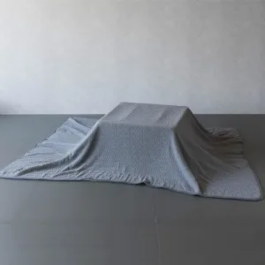 kotatsu blanket futon 1