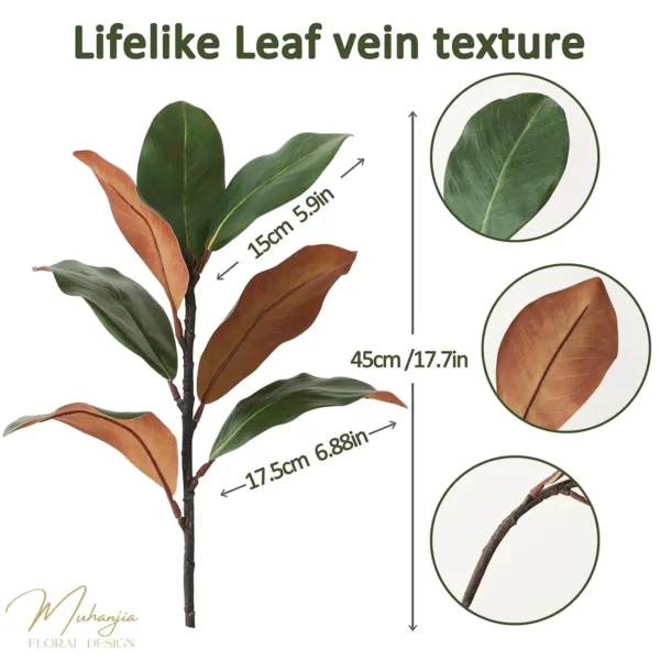 magnolia leaves stems 3