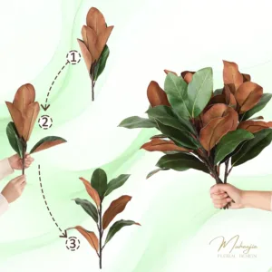 magnolia leaves stems 4