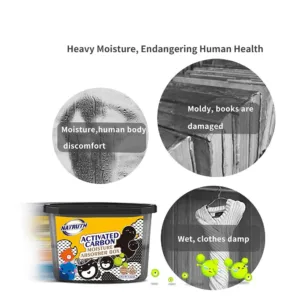 moisture absorber charcoal 6