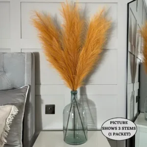 orange pampas grass 2