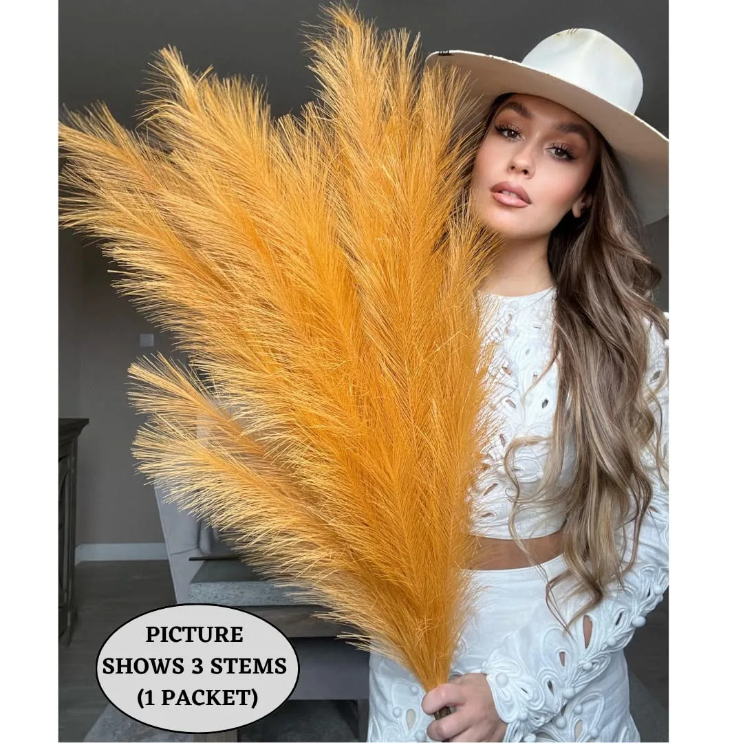 orange pampas grass 4