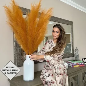 orange pampas grass 5