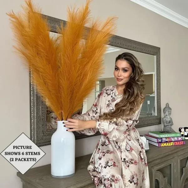 orange pampas grass 5