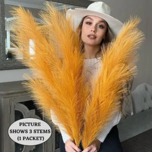 orange pampas grass 6