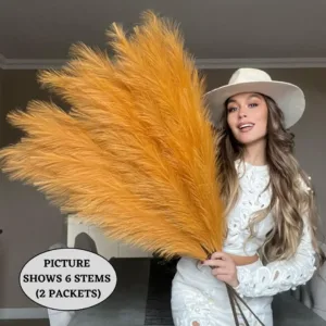 orange pampas grass 7