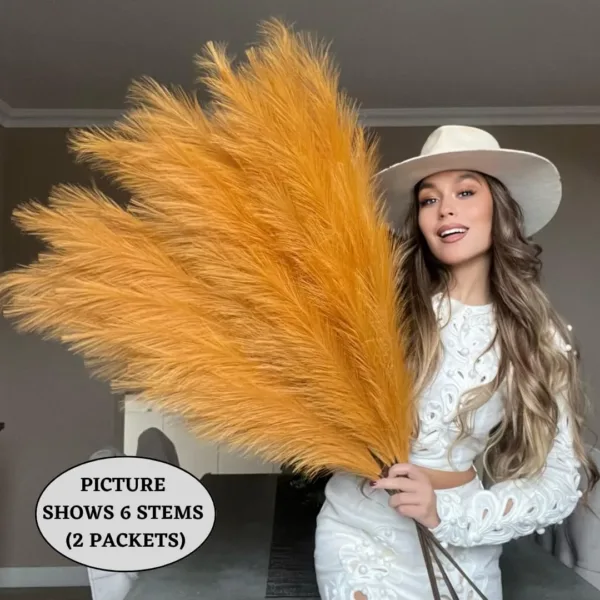 orange pampas grass 7