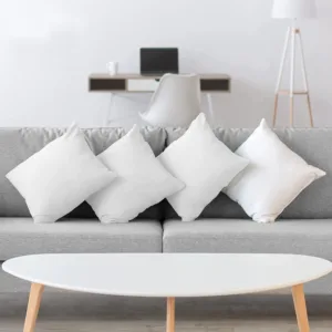 pillow inserts set 2