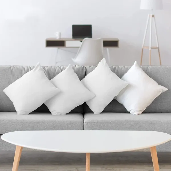 pillow inserts set 2