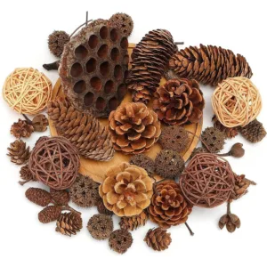 pine cones fall decor 1