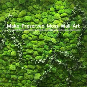 preserved moss kit 7