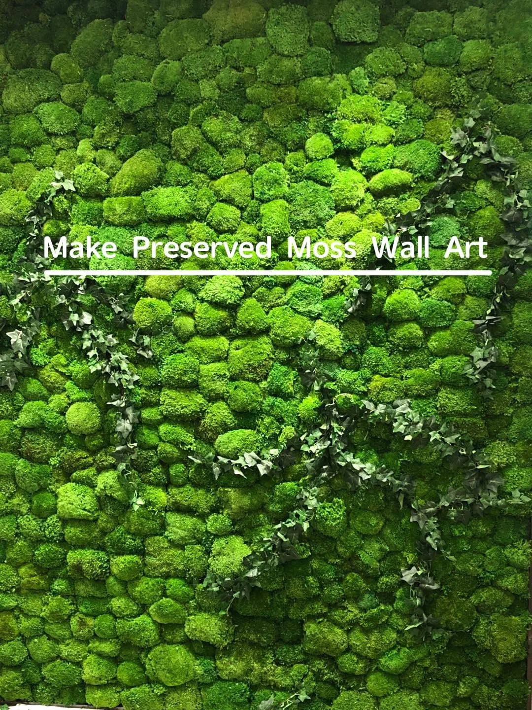 preserved moss kit 7