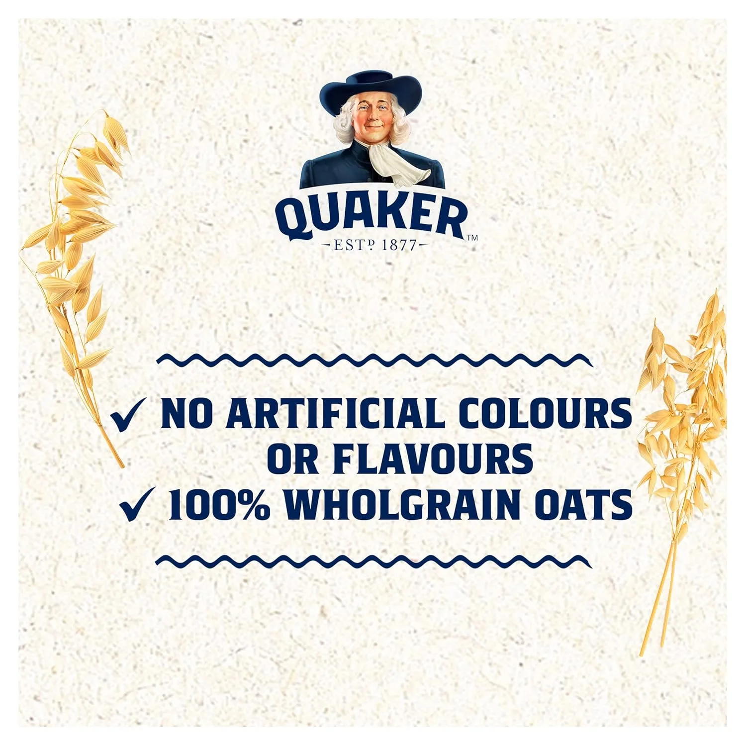 quaker oats porridge 4
