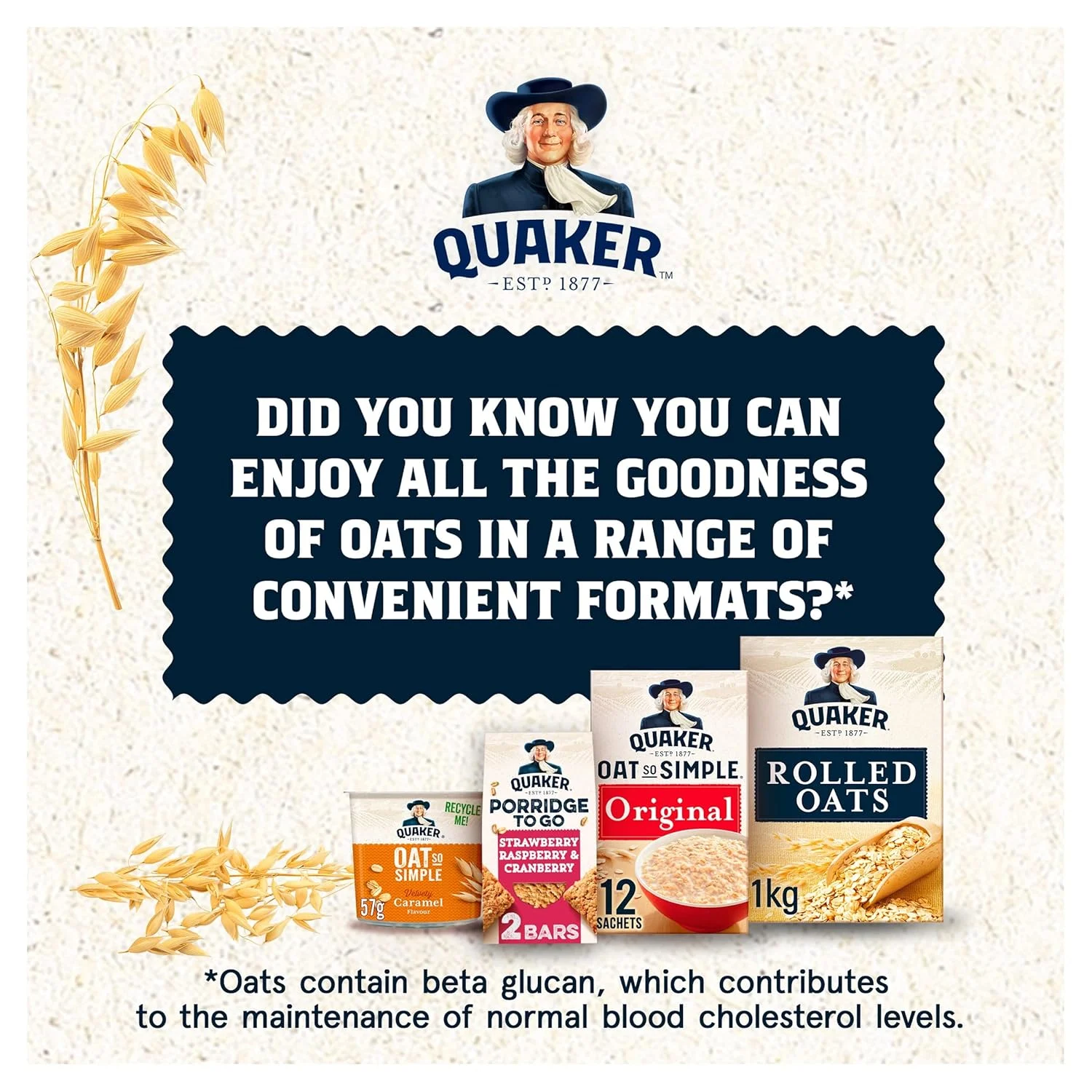 quaker oats porridge 6