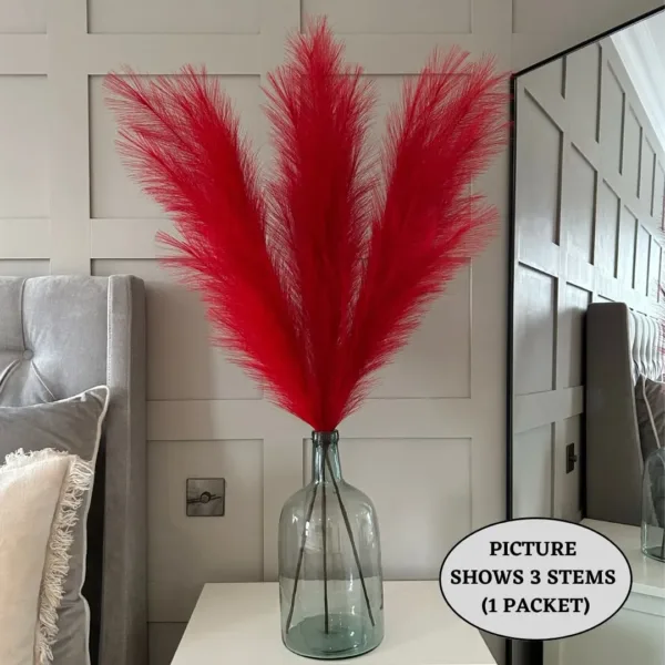 red pampas grass 3