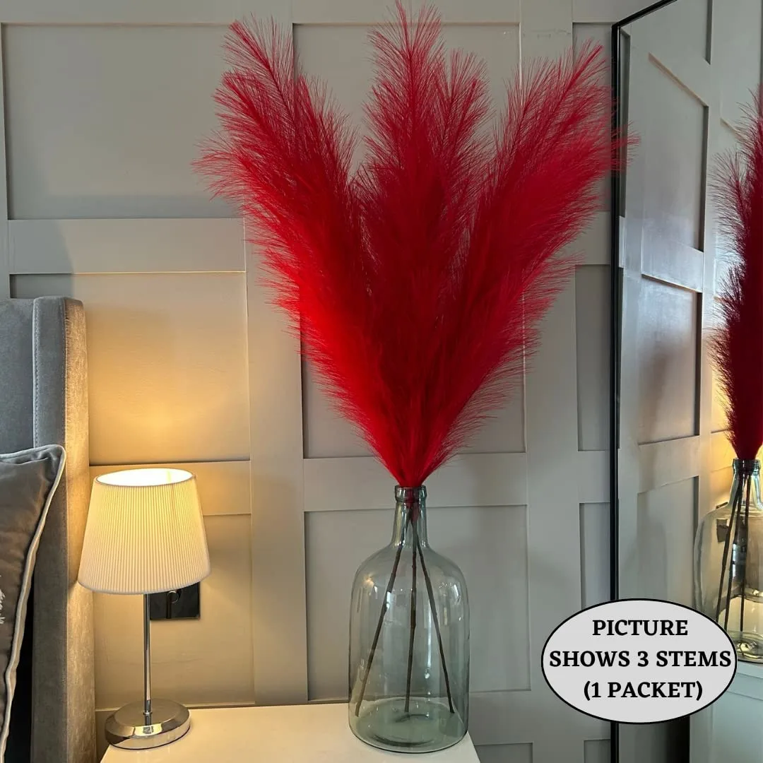 red pampas grass 7