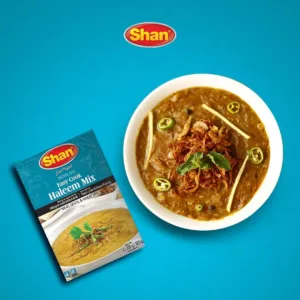 shan haleem recipe 5