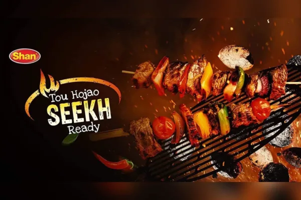 shan seekh kabab masala 6