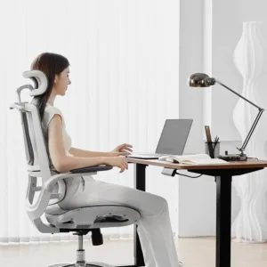 sihoo ergonomic office chair 2