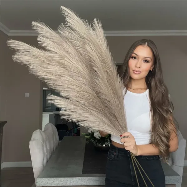 taupe pampas grass 1