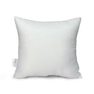 throw pillow insert 1