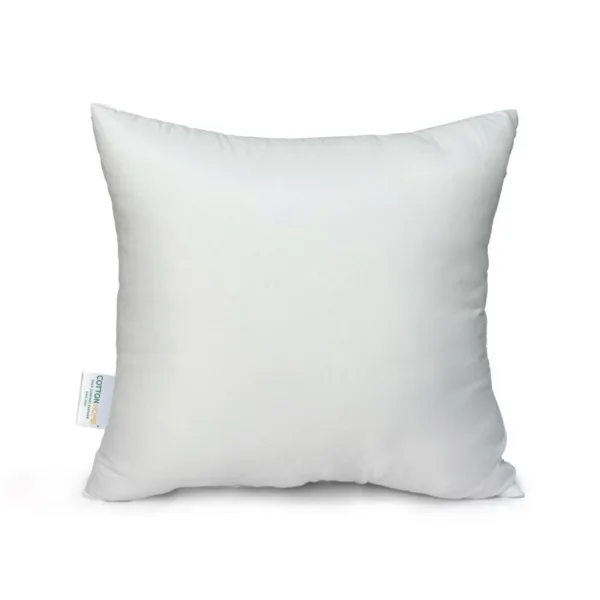 throw pillow insert 1