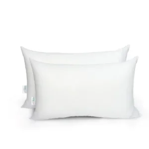 throw pillow insert 1