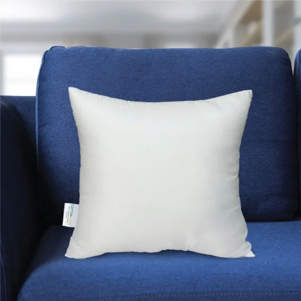 throw pillow insert 2