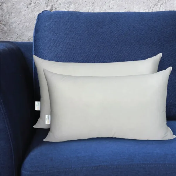 throw pillow insert 2