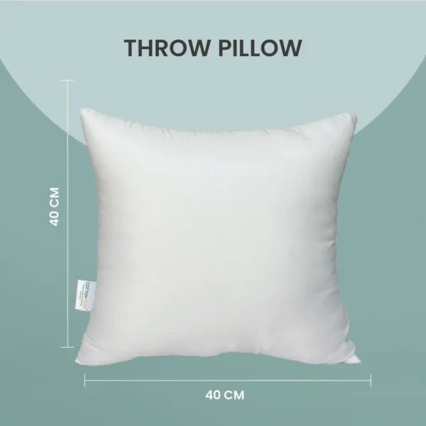 throw pillow insert 3