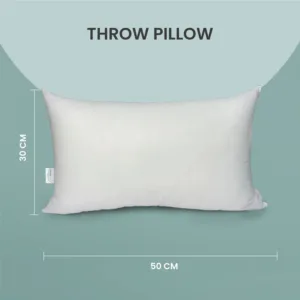 throw pillow insert 3