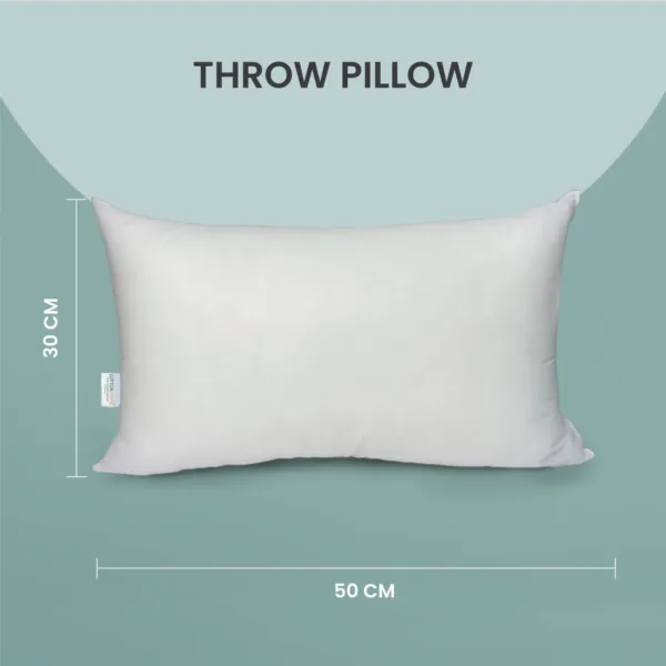 throw pillow insert 3