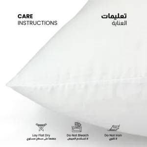 throw pillow insert 6