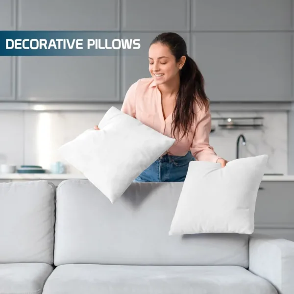throw pillows inserts 3
