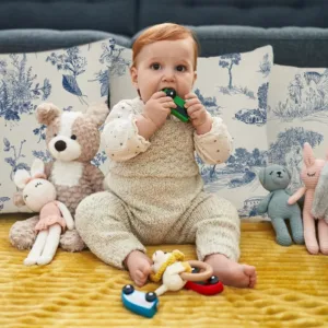 toile pillow covers 5