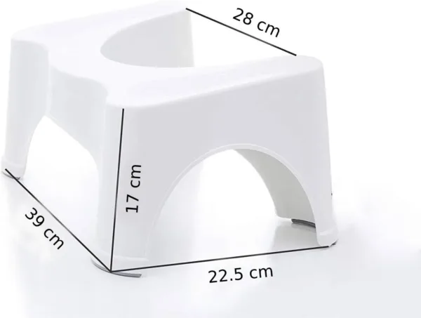 toilet stool squatting potty 3