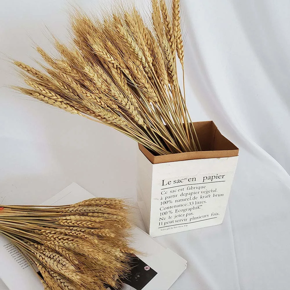 wheat stalks natural 6