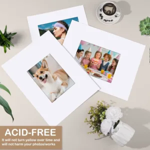 11x14 picture mats 4