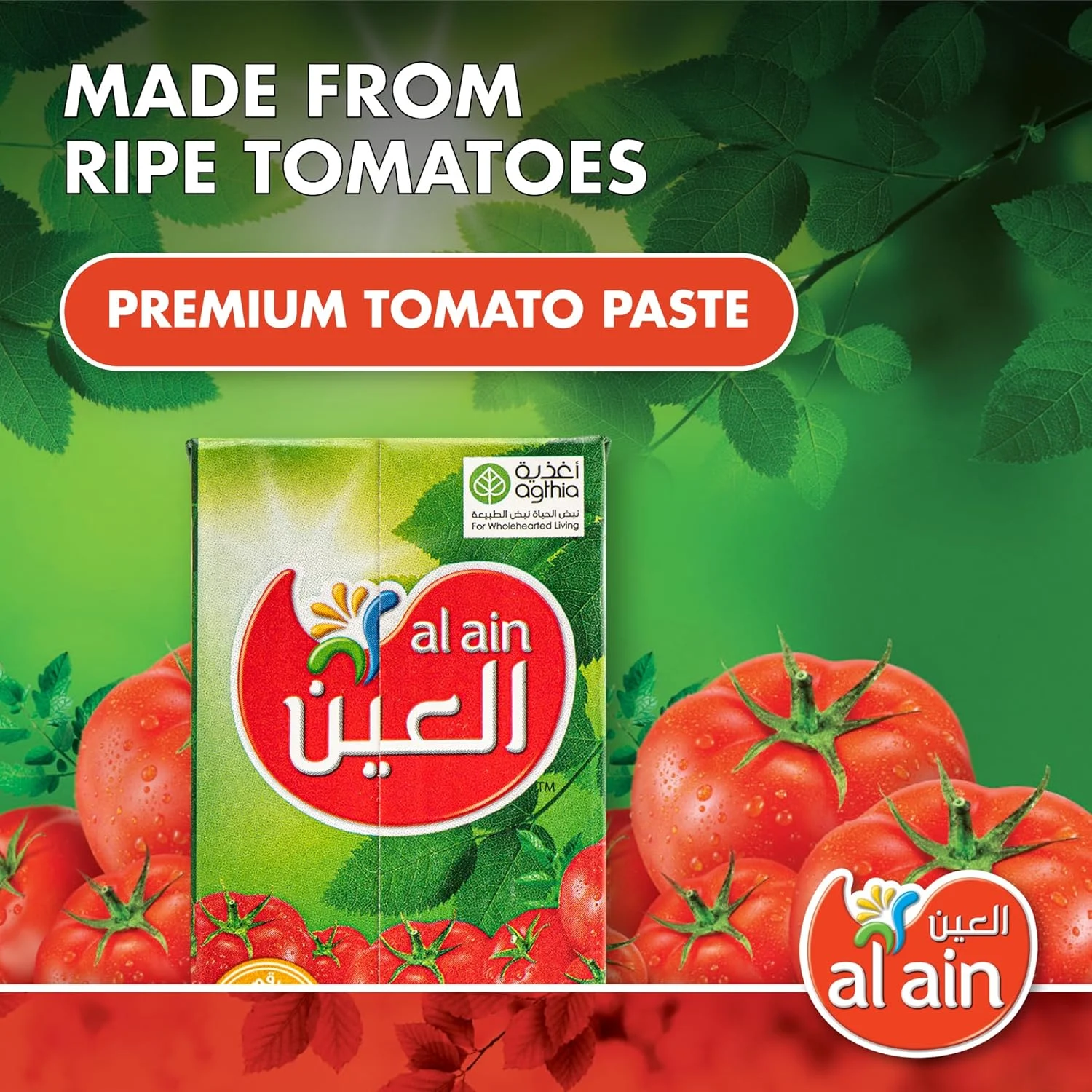 al ain tomato paste 2