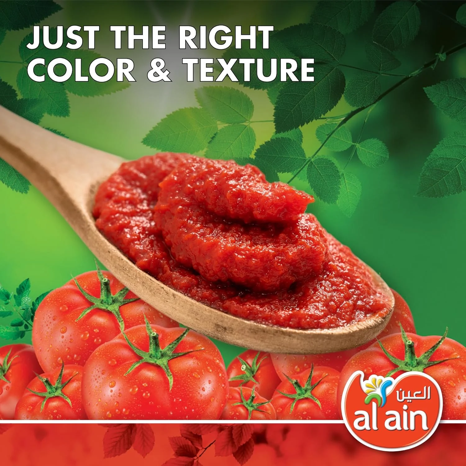 al ain tomato paste 3