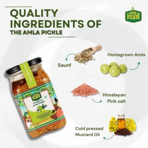 amla pickle homemade 6