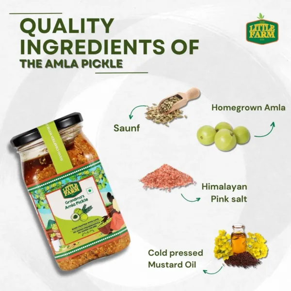 amla pickle homemade 6