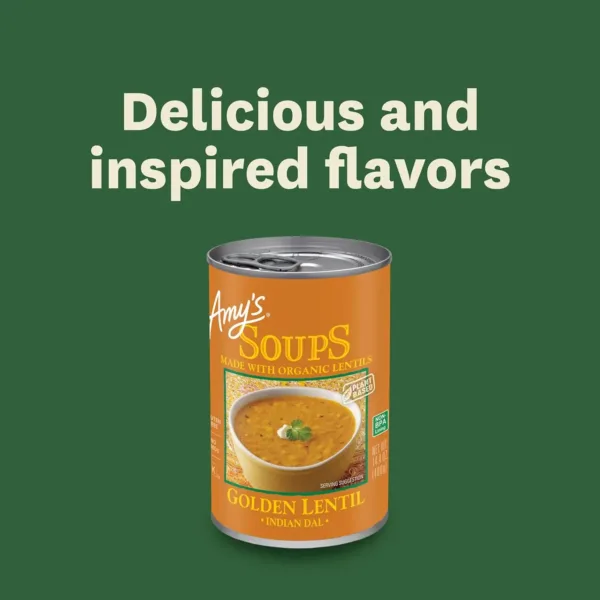 amys vegan lentil soup 6