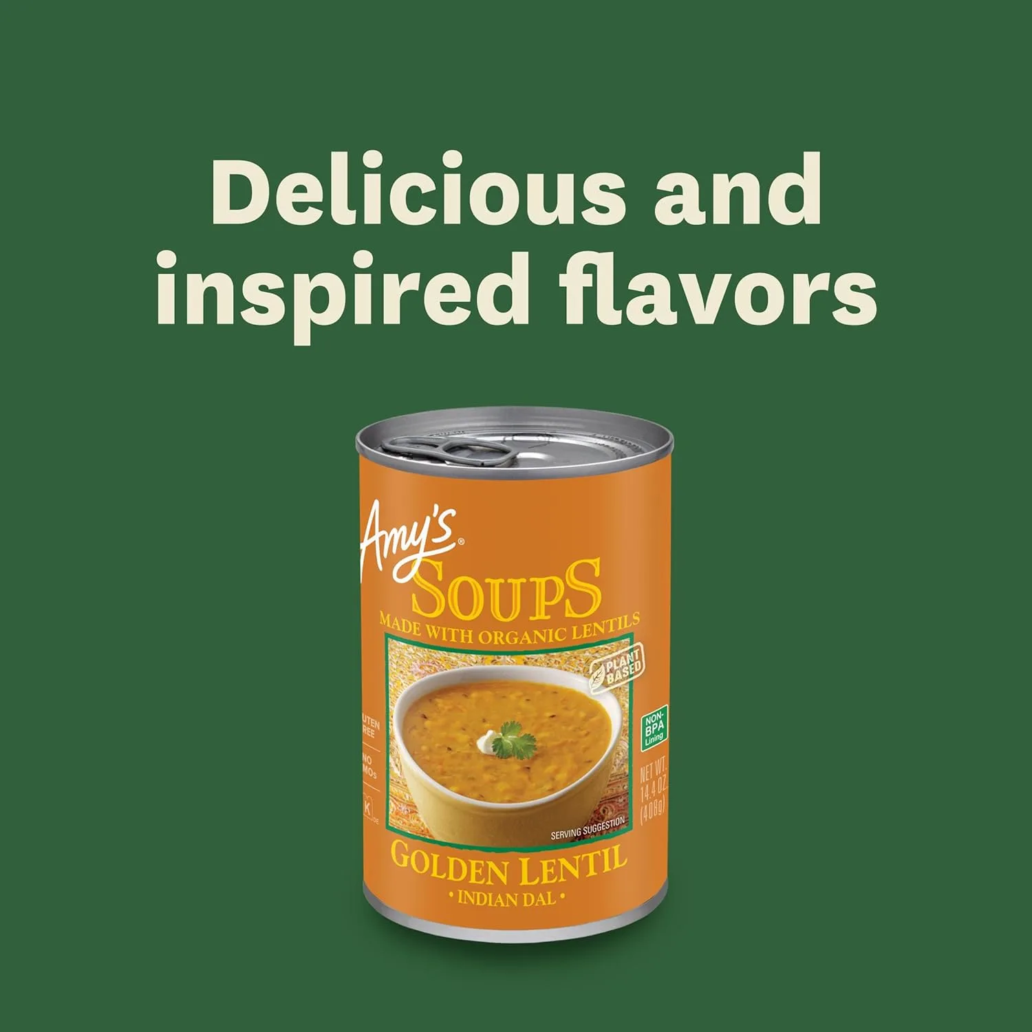 amys vegan lentil soup 6