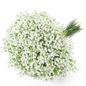 artificial baby breath 1