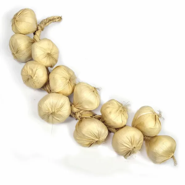 artificial onion garlic 2
